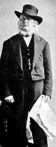Horace Greeley, politician